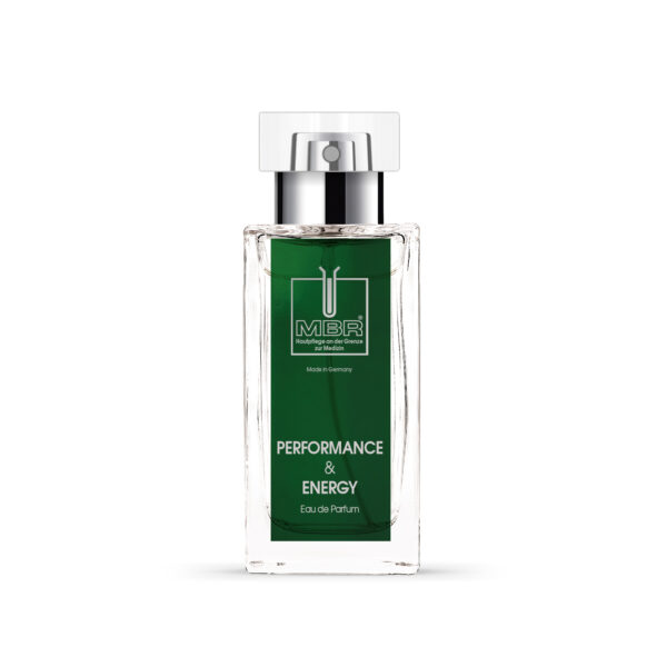 PERFORMANCE & ENERGY EdP